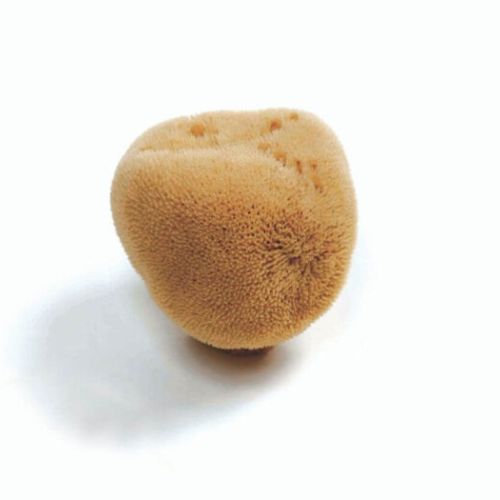 Natural face care sponges