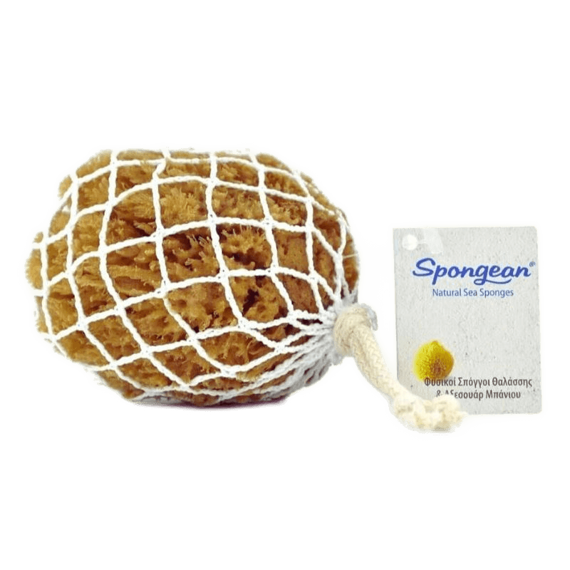 Caribbean (Grass) natural sea sponge (in net pouch)