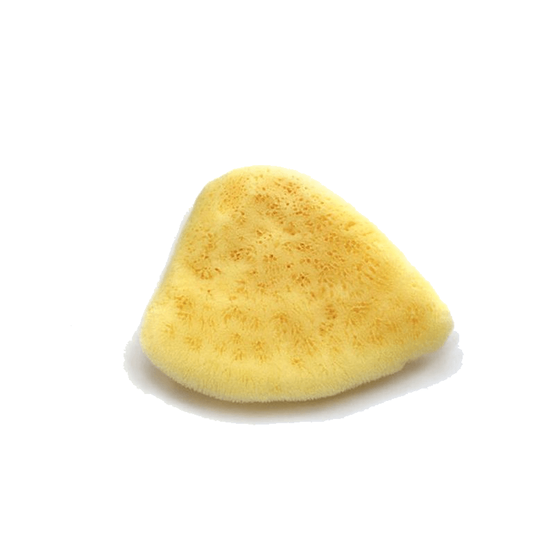 Elephant Ear face care sea sponge