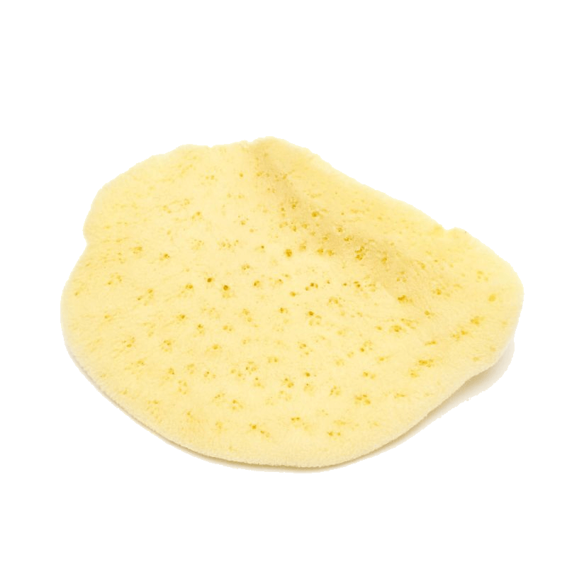 Elephant Ear face care sea sponge