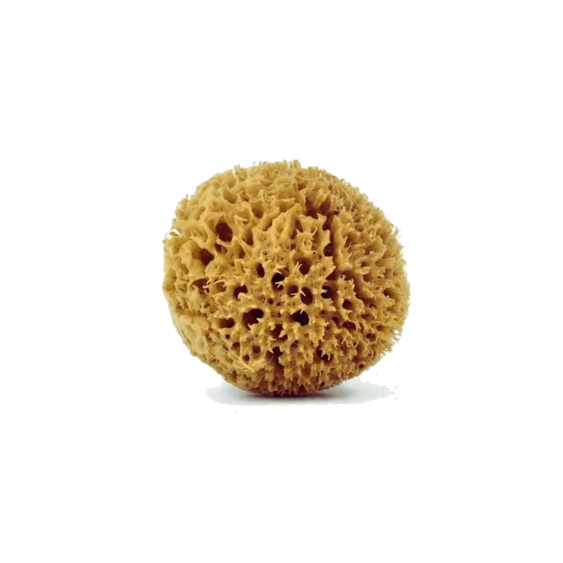 Honeycomb natural baby care sponge (unbleached)