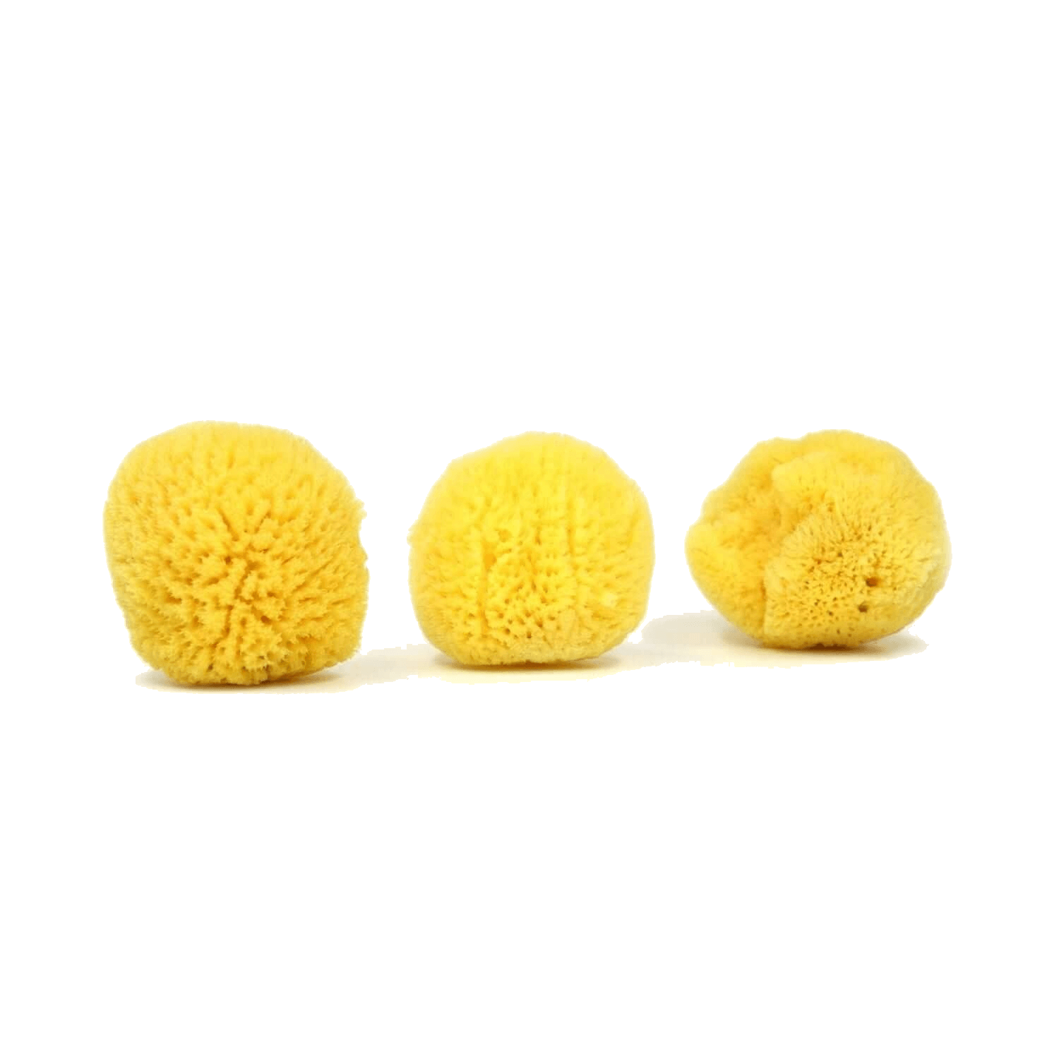 Caribbean silk face care sponge by Spongean - Bleached