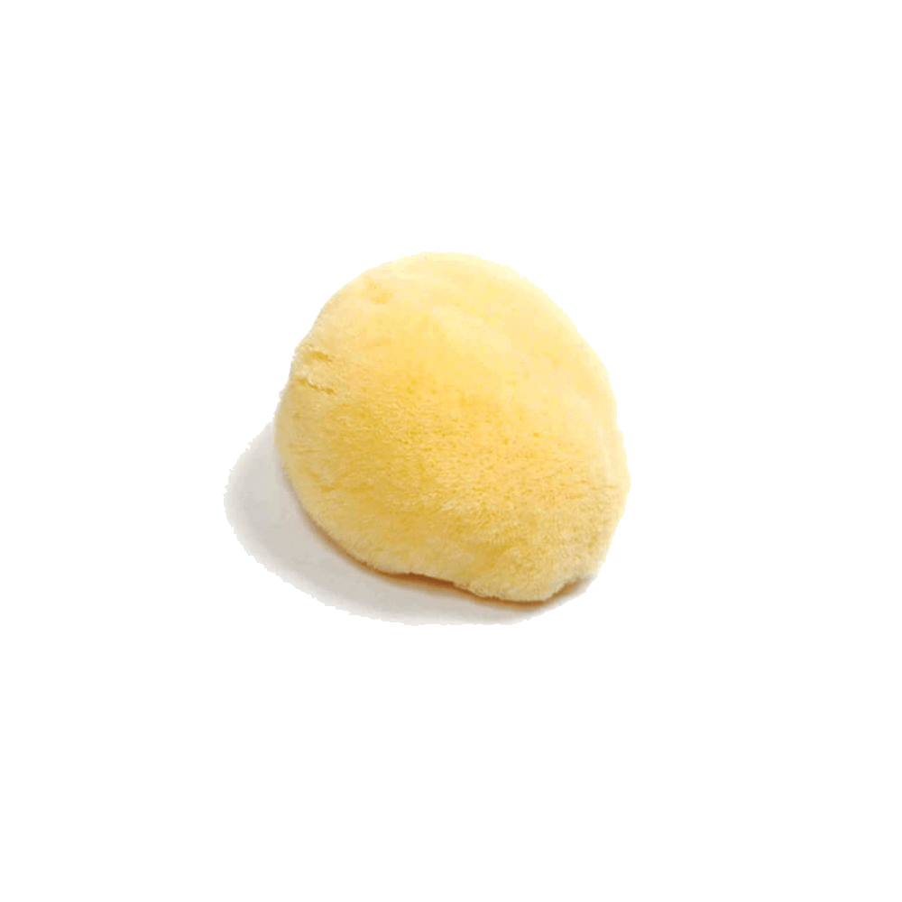 Mediterranean fine silk sea sponge for the face- by Spongean
