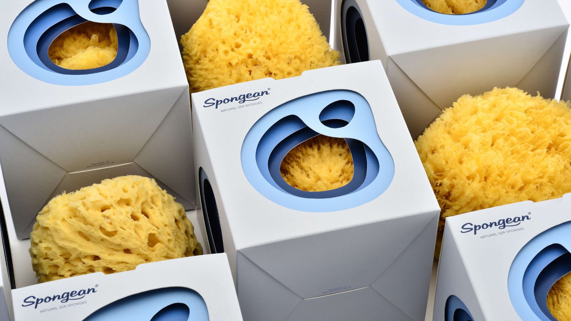 Natural sea sponges - Private labelling & retail packaging by Spongean
