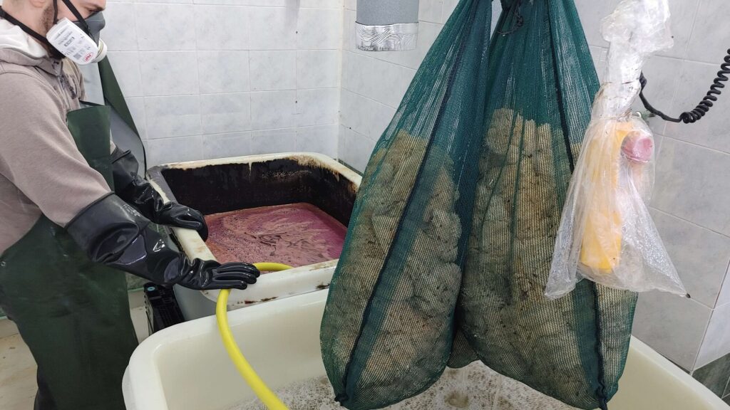 Processing Natural sea sponges at Spongean