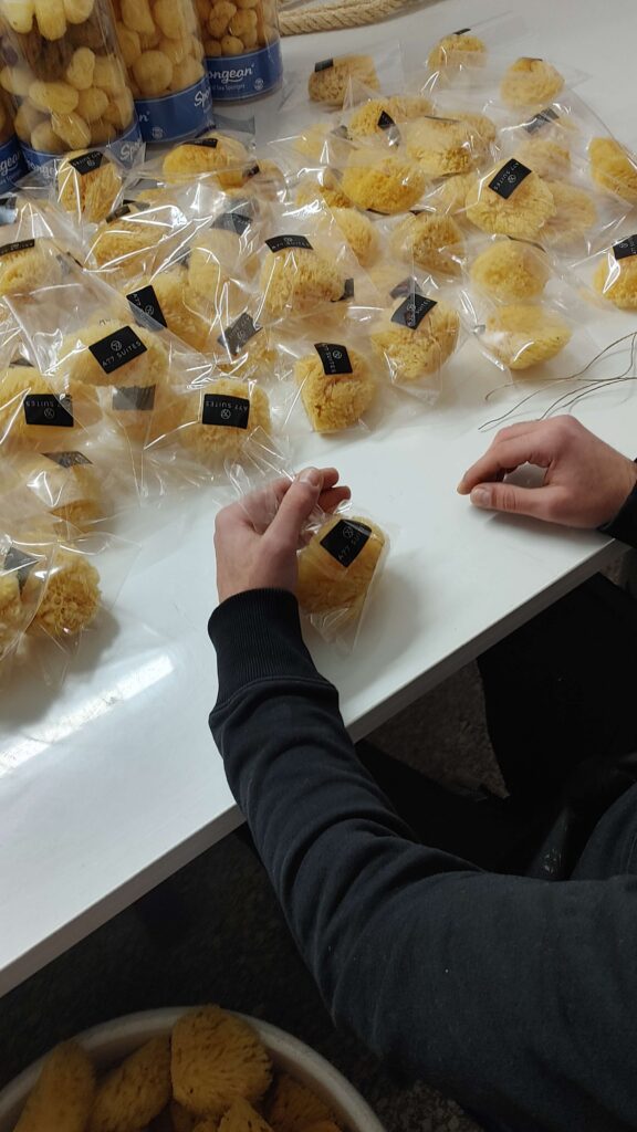 Sorting & Packaging sea sponges at Spongean